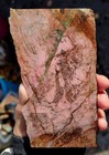 rawk11: Rhodonite slab-Pink+Green inclusions-Location Unknown  — photo 1