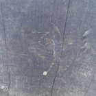 Picture 8 of 9