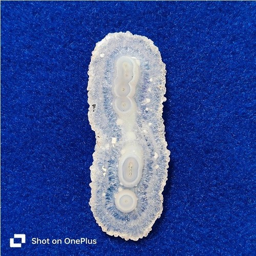 Stalactite Slice Solar Quartz Slice Flower Briolette LooseStone 158 Cts. ME-9091 - Picture 3 of 3