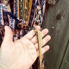 Foto 7 di 11