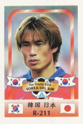211 KIM TAE-YOUNG # Jeonnam Dragon.FC SÜDKOREA ?? KARTE WM 2002 REYAUCA
