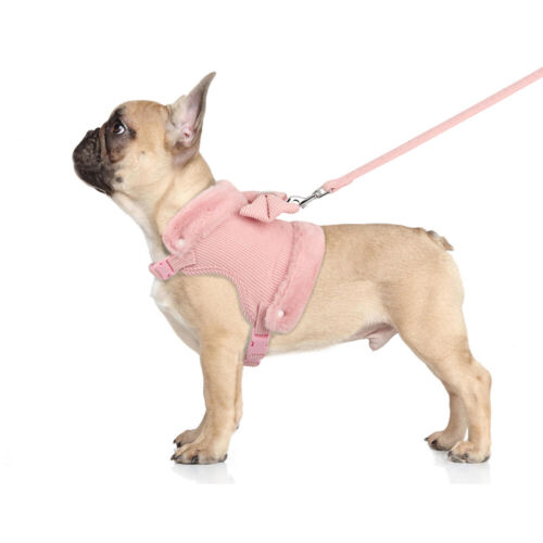 Hundegeschirr mit Leine Kleine Hunde Chihuahua Katzengeschirr Winter Fleece XS-L - Bild 11 von 22