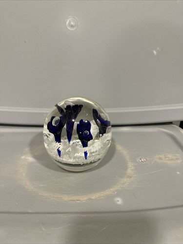 Joe RiceArt Glass Paperweight Sulphide Door Stop?