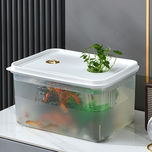 Plastic Desktop Goldfish Bowl Desktop Hydroponic Ecological Box - Picture 3 of 12