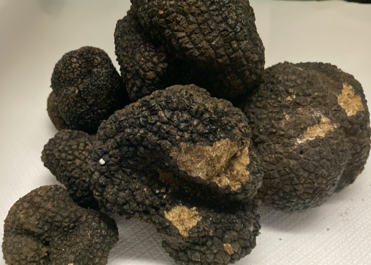 TARTUFO NERO UNCINATO I CAT FRESCO CALABRIA ALTA QUALITA' CUCINA GOURMET 200 G
