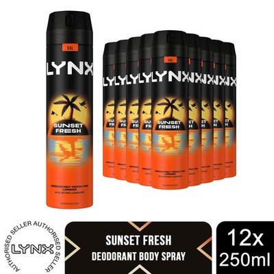 Lynx Sunset Fresh Body Spray 250ml 12 Stück Herren Deodorant 48H Mango Mandarin Duft