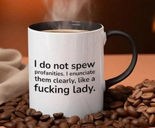 Do Not Spew Profanities I Enunciate Them Clearly Like A Fcking Lady Mug