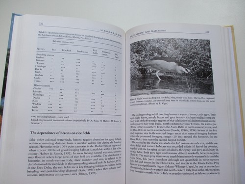 1997 FARMING AND BIRDS IN EUROPE Deborah J. Pain BIRD CONSERVATION Agriculture - Picture 9 of 11