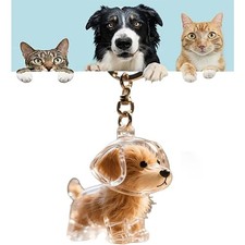 Pet Memorial Keychain Holder DIY Keepsake Storage Box for Pet Fur Ashes