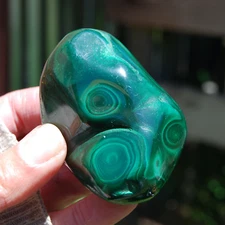 2.75in 206g Large Natural Malachite Crystal Palm Stone, Botryoidal Free Form, Co