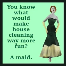 You Know What Would Make House Cleaning Way More Fun? A Maid.  So True! MAGNET