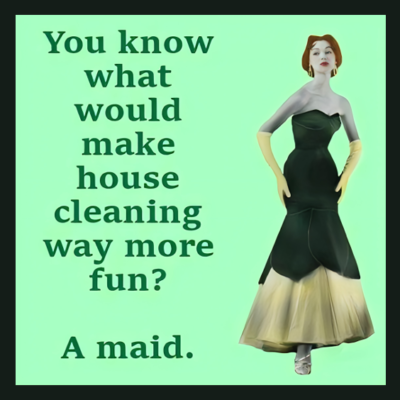 #ad #ad You Know What Would Make House Cleaning Way More Fun? A Maid. So True MAGNET $4.98