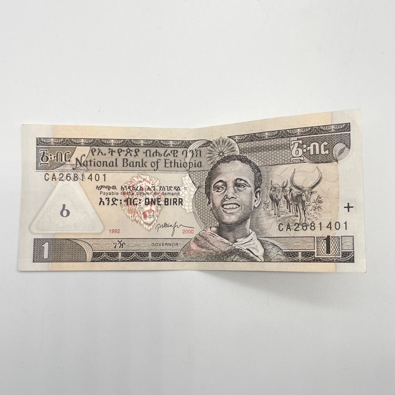 National Bank of Ethiopia One Birr Banknote 2000 Boy Lion Falls Series One 