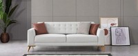 Luxus Sofa 3 - Sitzer Design MöBel Stilvoll Wohnzimmer Dreisitzer Couch