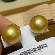 Gorgeous AAAA 11-10mm Natural South Sea Golden Round Pearl Earrings 14k gold