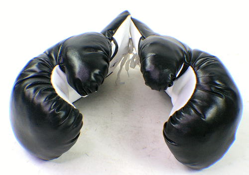 1 Pair Last Punch Black /White Boxing Gloves Punching Sparring Practice 18oz - 第 1/6 張圖片
