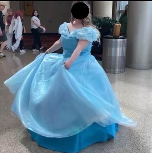 Cinderella Live Action Dress Gem