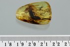 Picture 6 of 6