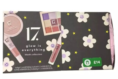 17 Makeup Geschenkset 202 Lidschatten Palette Lipgloss Creme Rouge Highlighter Set