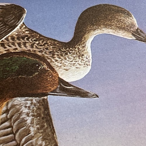 1st.of State,1979, Florida,Green Winged Teal,Bob Binks, Excellent.Mint Stamp. - Picture 9 of 12