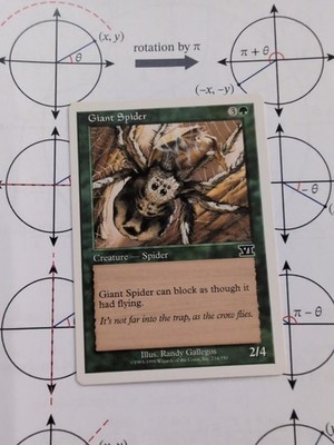 MTG Giant Spider 5th Edition Vintage Magic The Gathering Creature Spider Card
