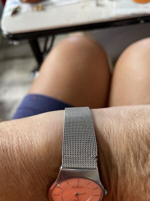 Skagen 233sss Wrist Watch for Women Needs A Battery Skagen 233sss Wrist Watch for Women Needs A Battery
