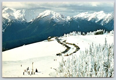 Hurricane Ridge Lodge Winter Aerial View Olympic WA Vtg Continental Postcard B9