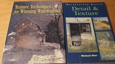 LOT OF 2 ON WATERCOLOR BASICS DETAIL TEXTURE TECHNIQUES