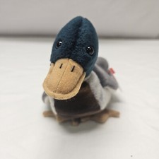 NWT Ty Beanie Babies "Jake" The Mallard Duck 7in 1998 Plush Stuffed Toy