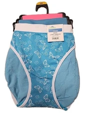 NWT Way To Celebrate 3-Pack Seamless Bikini Panties Size Large Multicolor