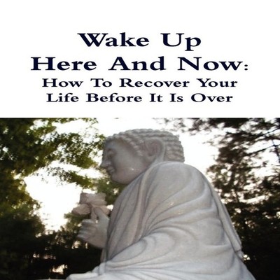 Wake Up Here And Now How To Recover Your Life Before It Is Over T