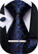 Paisley Ties for Men Silk Necktie and Pocket Square Cufflinks Tie Clip