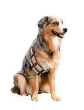 ComfyCamper Utility Belt Dog Halloween Costume Adjustable - X Medium, Brown