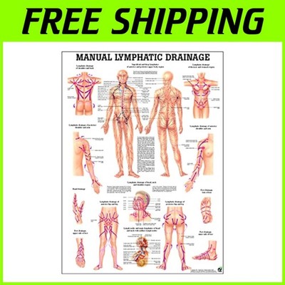 Professional Lymphatic Drainage Chart$