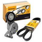 CONTINENTAL CTAM KEILRIPPENRIEMEN-SATZ passend für AUDI A3 TT SEAT ALHAMBRA