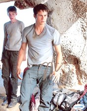 Dylan O'Brien Maze Runner Autographed Signed 8x10 Photo ACOA Dylan O'Brien Maze Runner Autographed Signed 8x10 Photo ACOA
