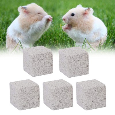 6 Pcs Zähne Molaren Spielzeug Für Chinchilla Lava Zähne Schleifen