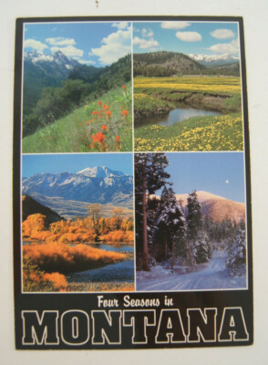 Four Seasons in Montana BSM-500K K35858 Vintage Postcard RPPC L Dodge C Polich