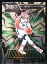 Giannis Antetokounmpo 2021-22 Select Turbocharged Insert #7