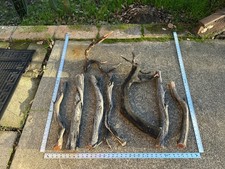 Natural Manzanita Driftwood Aquarium Scapes Reptiles Mounts Crafts Perches 8pcs