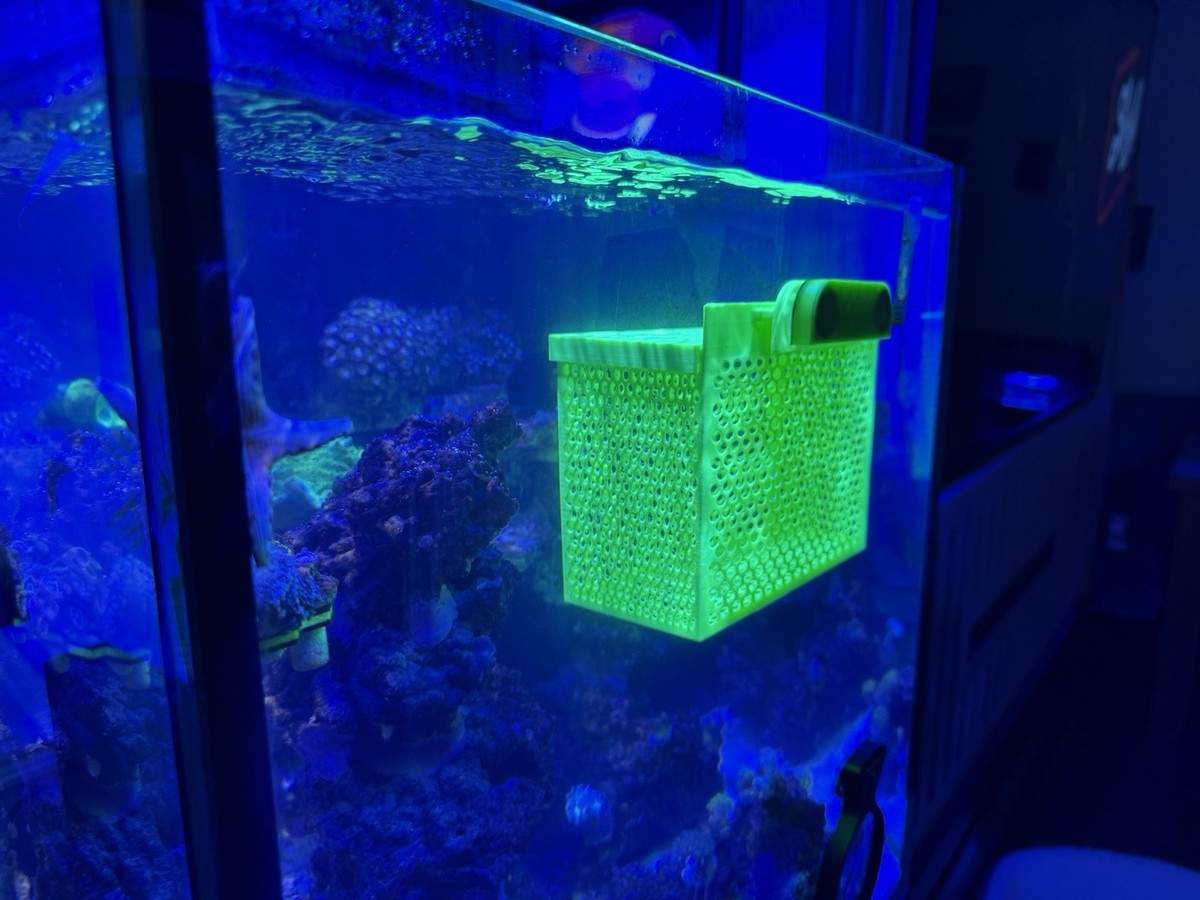 Magnetic Fish Acclimation Box 180mm X 125mm X 125mm | eBay UK Magnetic Fish Acclimation Box 180mm X 125mm X 125mm | eBay UK