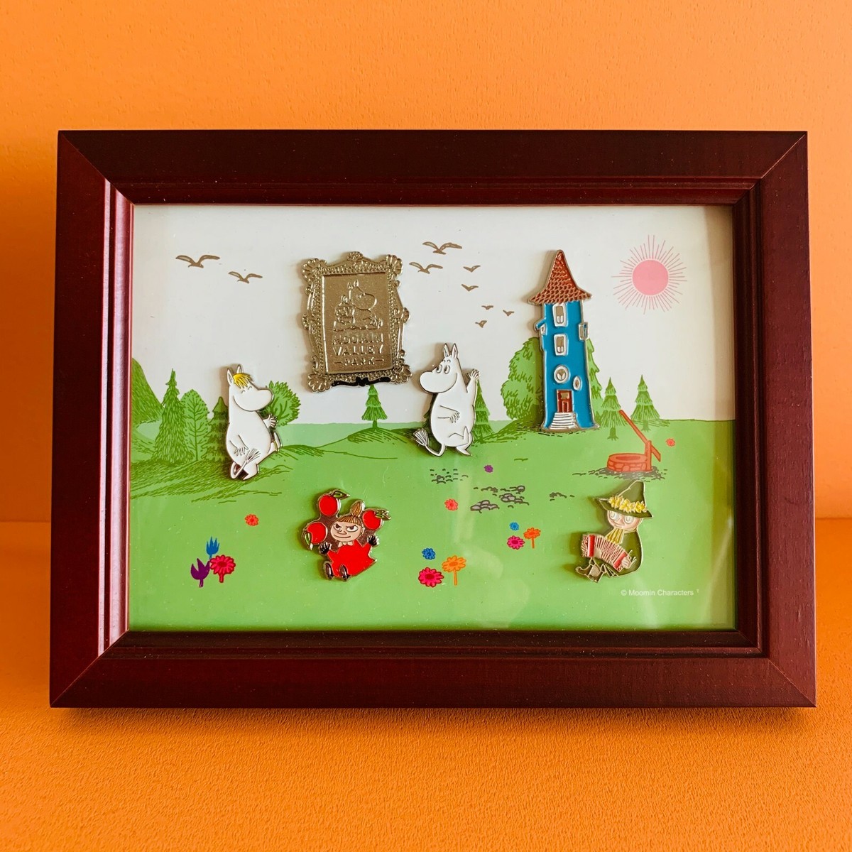 Moomin Pin Badge Pins Set Frame Box Valley Park Japan
