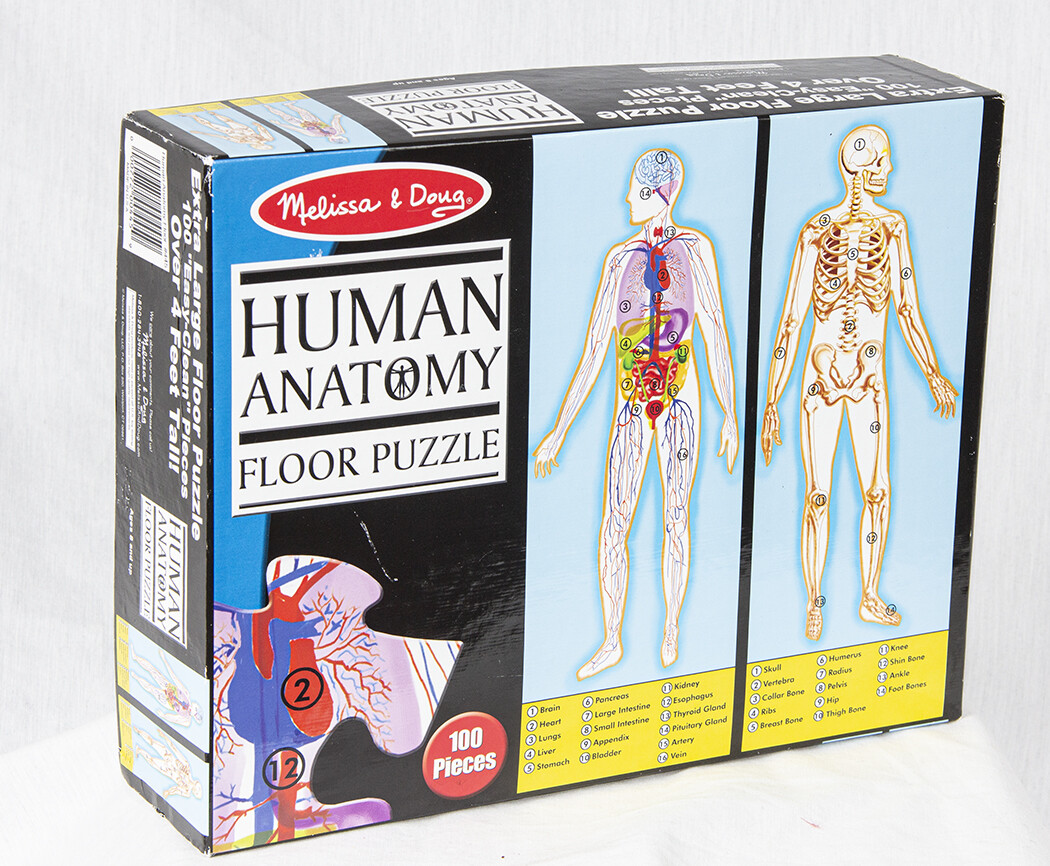 melissa and doug human anatomy
