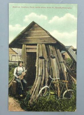 1909 EVERETT Washington BICYCLE House TREE STUMP Fiddle Postcard Antique Germany