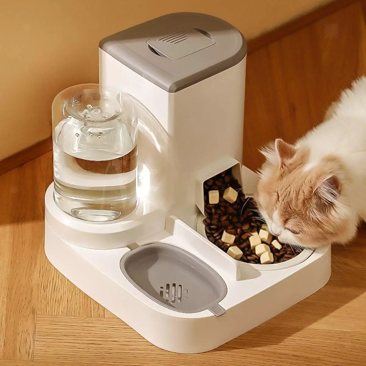 Self feeding top for cats