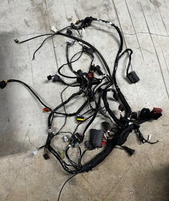 2012-2016 MV Agusta F3 800 Main Engine Wire Harness Electrical Loom
