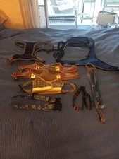 Various Dog Harness And Leases