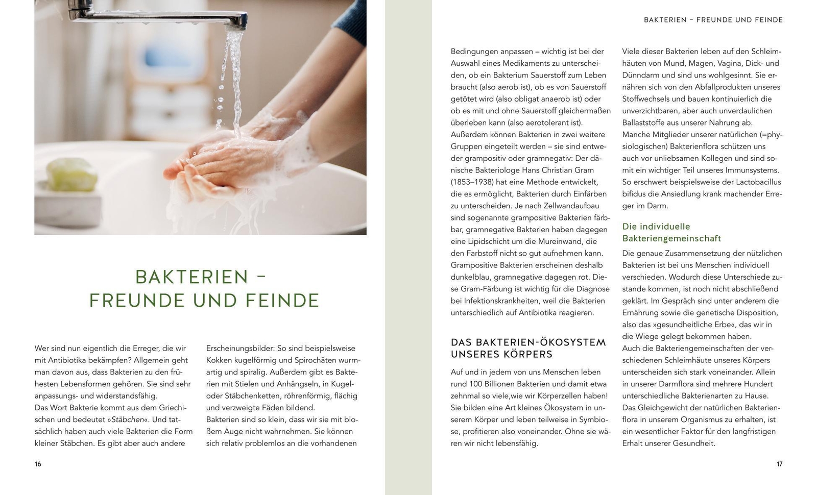 Thumbnail - Aruna M. Siewert Pflanzliche Antibiotika