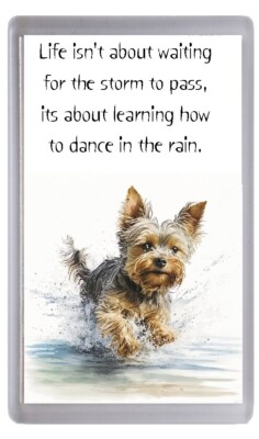 Yorkshire Terrier Hund Kühlschrankmagnet ''Tanzen im Regen'' Gedicht