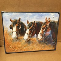 Ashdene Of Australia Horse Placemats In Package 6 Placemats Ashdene Of Australia Horse Placemats In Package 6 Placemats